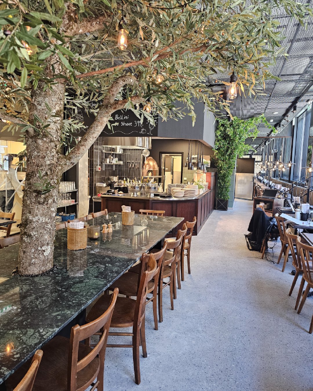 CiCi Osteria med langt marmorbord under et stort oliventre, trebord og stoler, samt åpent kjøkken med italiensk inspirasjon i bakgrunnen.